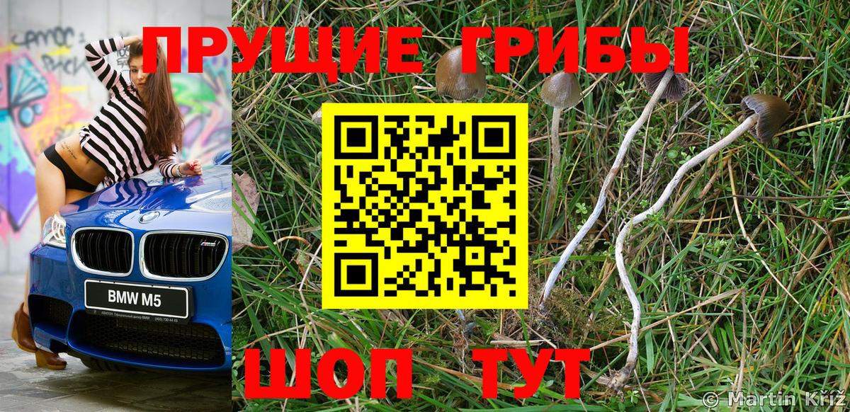 Вязники  Псилоцибиновые грибы MAGIC MUSHROOMS  Псилоцибиновые грибы Psilocybine cubensis  дарнет шоп  Вход с VPN 