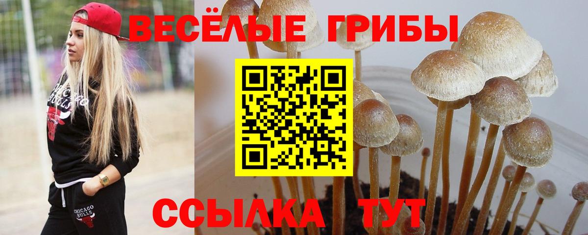 Галлюциногенные грибы мицелий  Вязники 